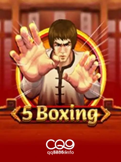 Hình ảnh 5 Boxing